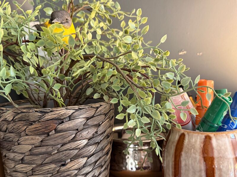 A small yellow bird ornament tucked into a leafy plant beside a pot of coloured pens in Kate Ramsay's therapy room