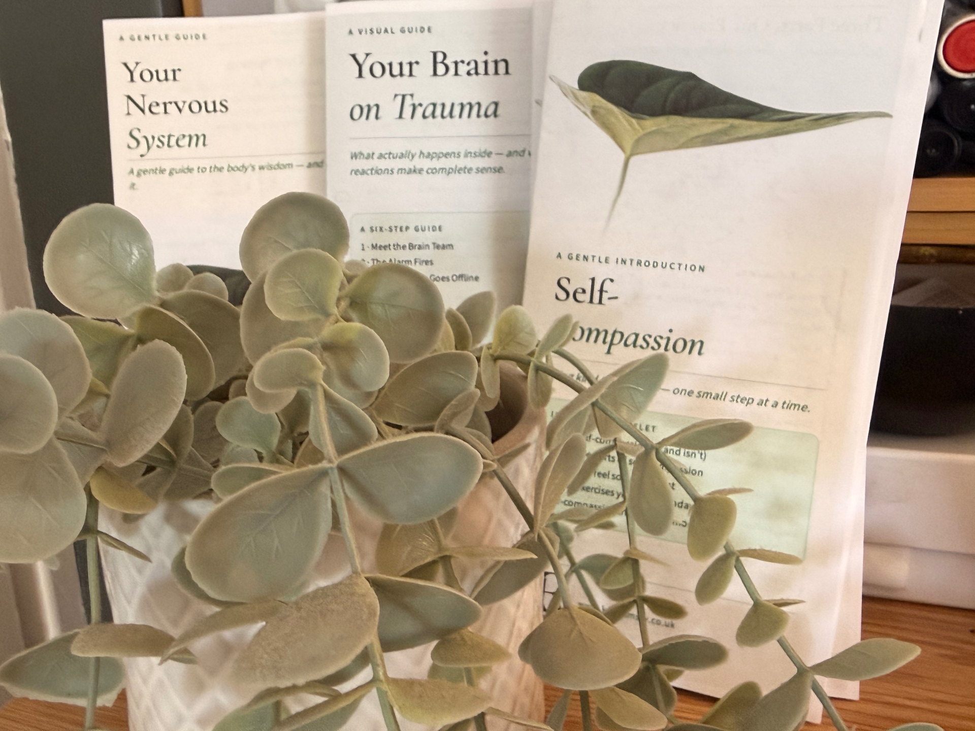 Trauma psychoeducation leaflets — Your Nervous System, Your Brain on Trauma, Self-Compassion — beside a eucalyptus plant
