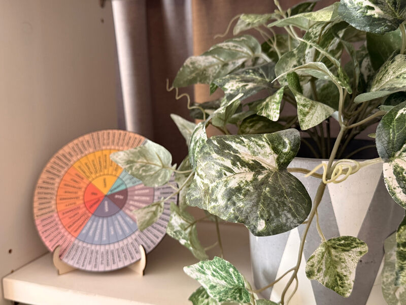 A feelings wheel beside a trailing plant in Kate Ramsay's therapy room