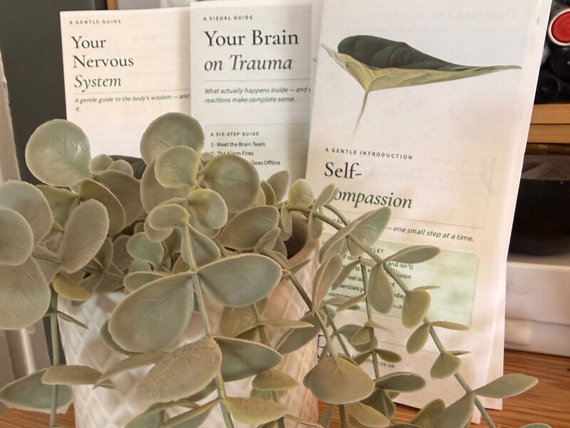Trauma psychoeducation leaflets — Your Nervous System, Your Brain on Trauma, Self-Compassion — beside a eucalyptus plant